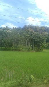 Maladhara Pt-I