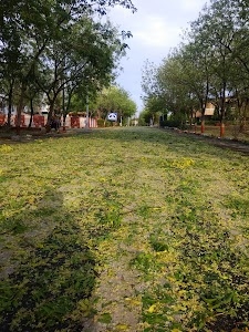 Cisf 8th RB Jaipur