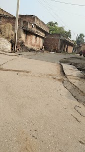 Dangi More