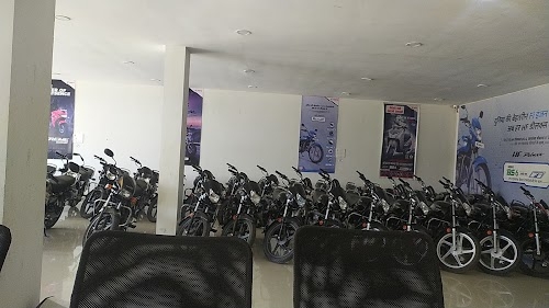 D. S. Motors