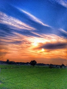 Kohli Farm House