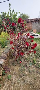 Husainpur