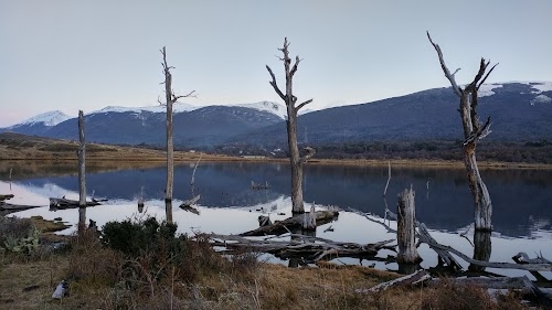 Laguna Zañartu