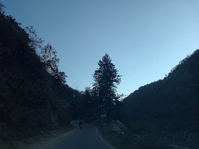 Banga Pani