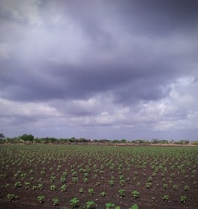 GUNDARAN