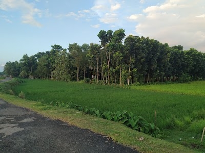 Dhantola