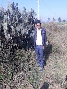Jhundi Mafi