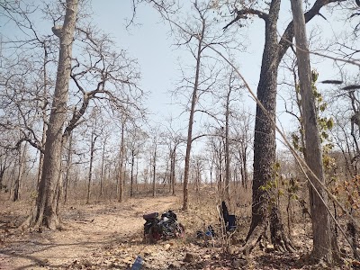 Omkareshwar National Park,Khandwa