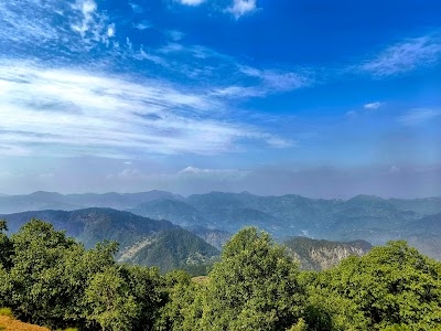 Charekh