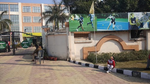 Delhi Public School, Ambala