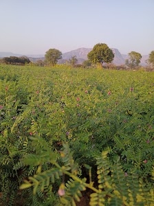 Baral