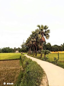 Tarni yadav bhawan