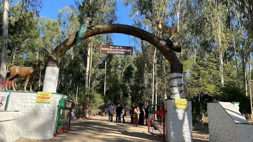 Nepli forest
