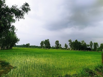 Dheremau
