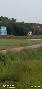 Ketedal