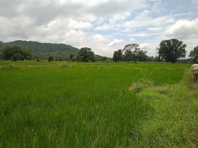 Garjanjore