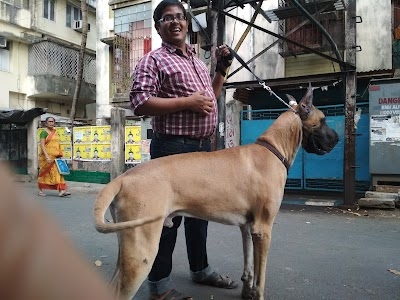 Tarapith Rickshaw Stand