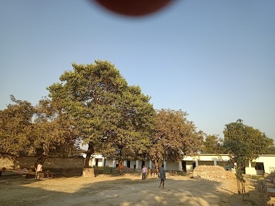 S P Inter College