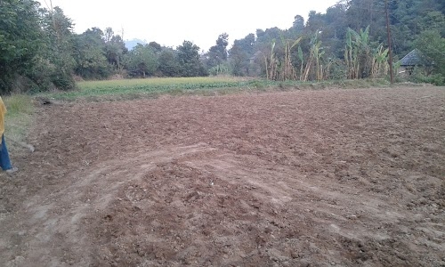 Kurera