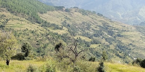 Chopta Village Pauri Garhwal