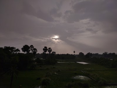 Pakari Pakohi