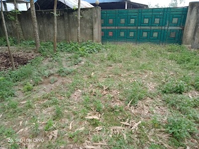 Ray agro property