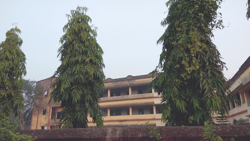Dhanberia High School