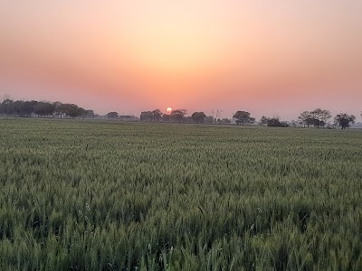 Jaitpur