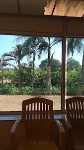 Chandra Nursery