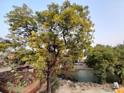 Dubra