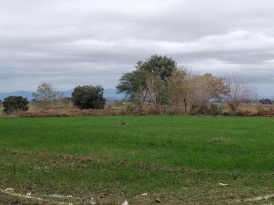 Military Area