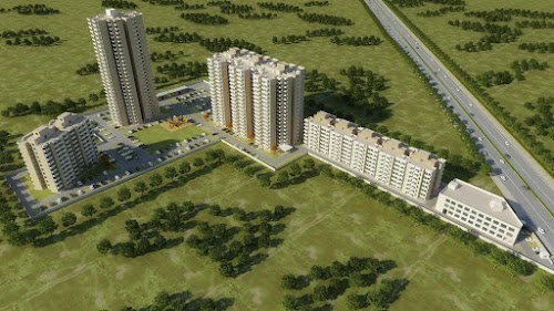 Ocean Seven Affordable