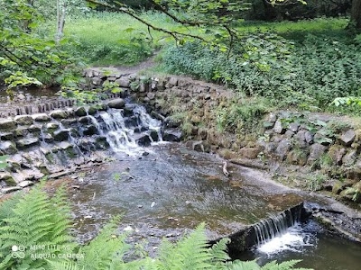 Bolton