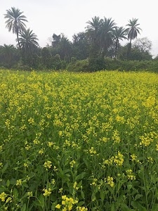 Ghoradhara
