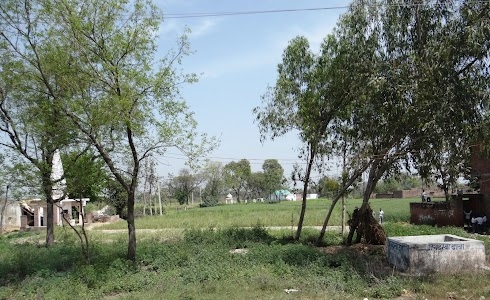 Narsinghpur