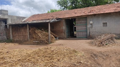 Bodar vadi