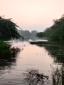 Mayapur