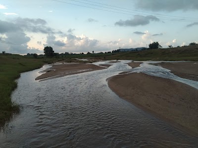 Bongi