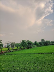 Paragpur
