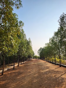 Bio diversity park madhopur Jamui