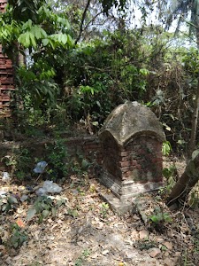 Kamarda