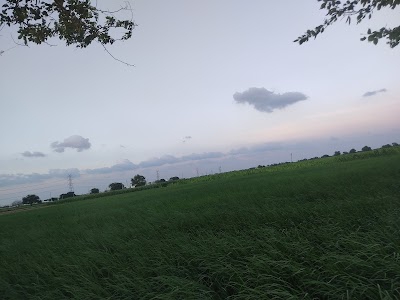 Mdu rohtak