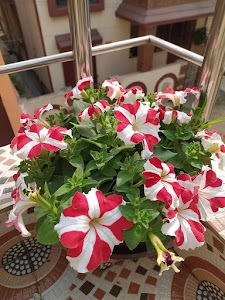 Bidhannagar
