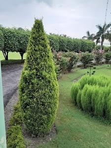 Dwarikesh Sugar Industries
