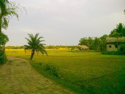 Nakali
