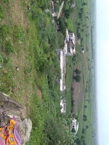 Paroya