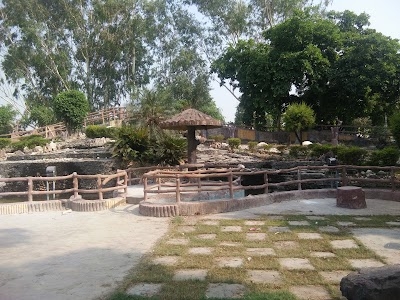 State Bank of India NTPC UNCHAHAR