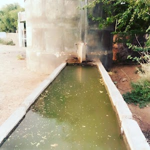 Gogaji Temple Terlai Nadi Tilora