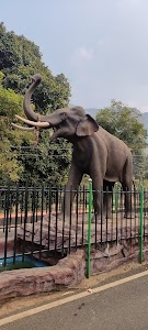 Bhalupani panchayat