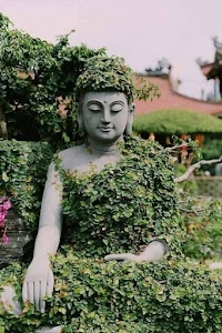 Rao buddha Home